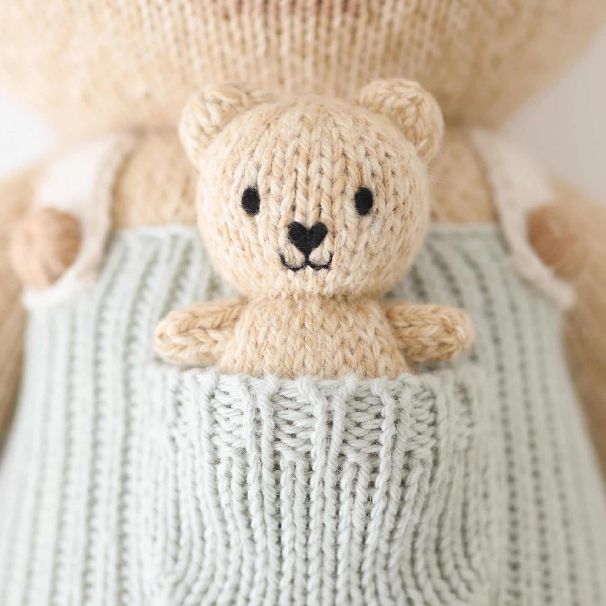 Cuddle and Kind Alexander The Honey Bear