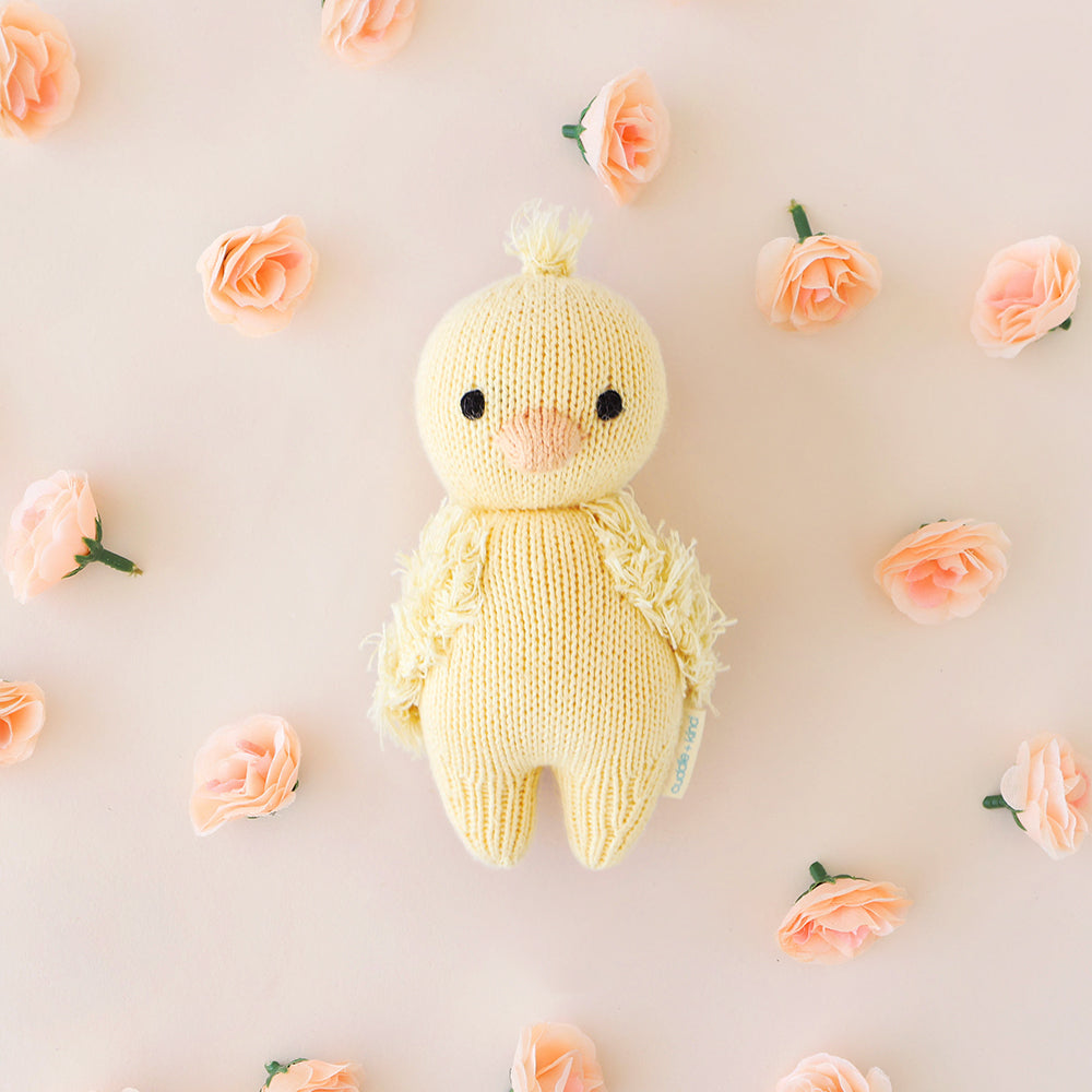 Cuddle and Kind Baby Duckling