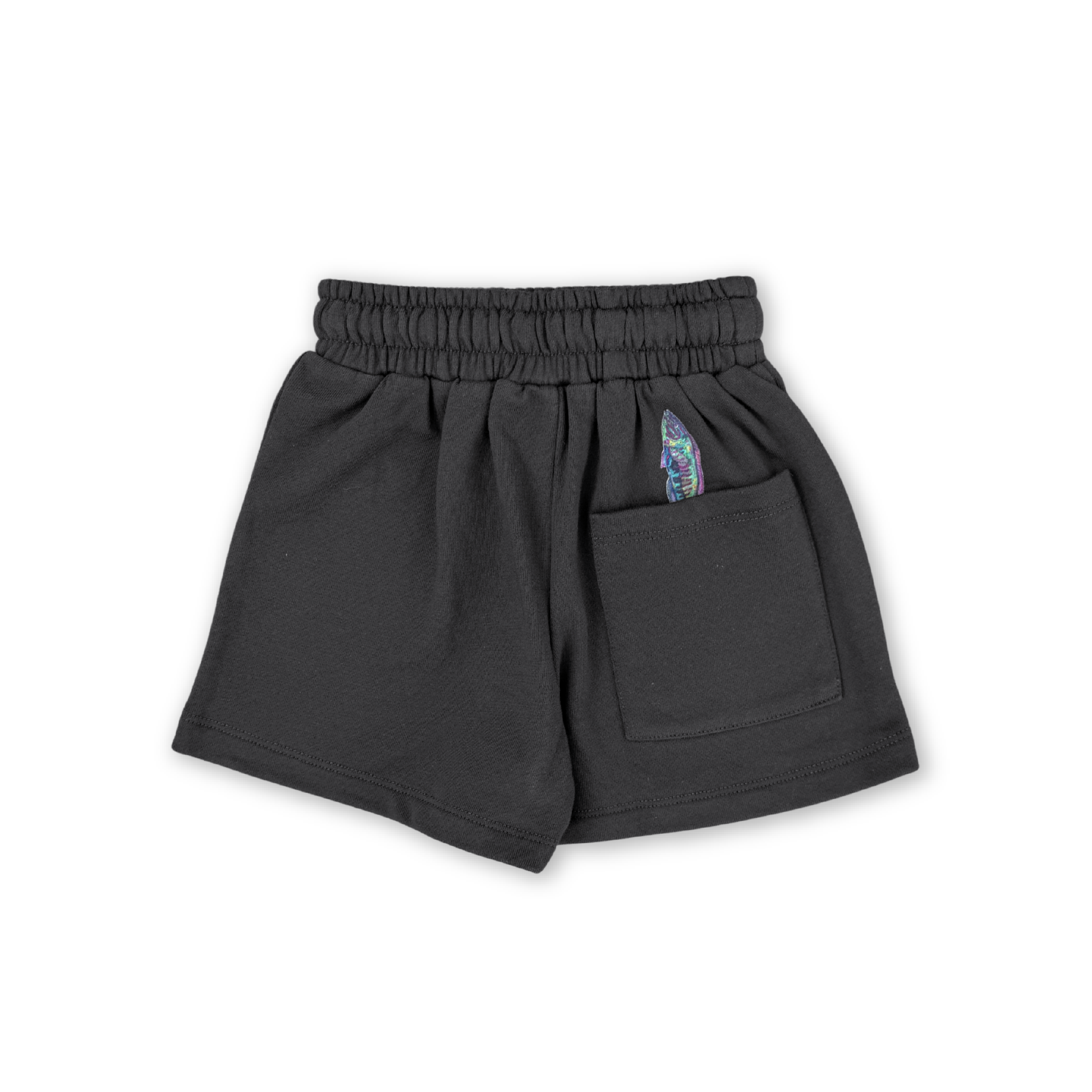 Grown Parrot Fish Short - Ash