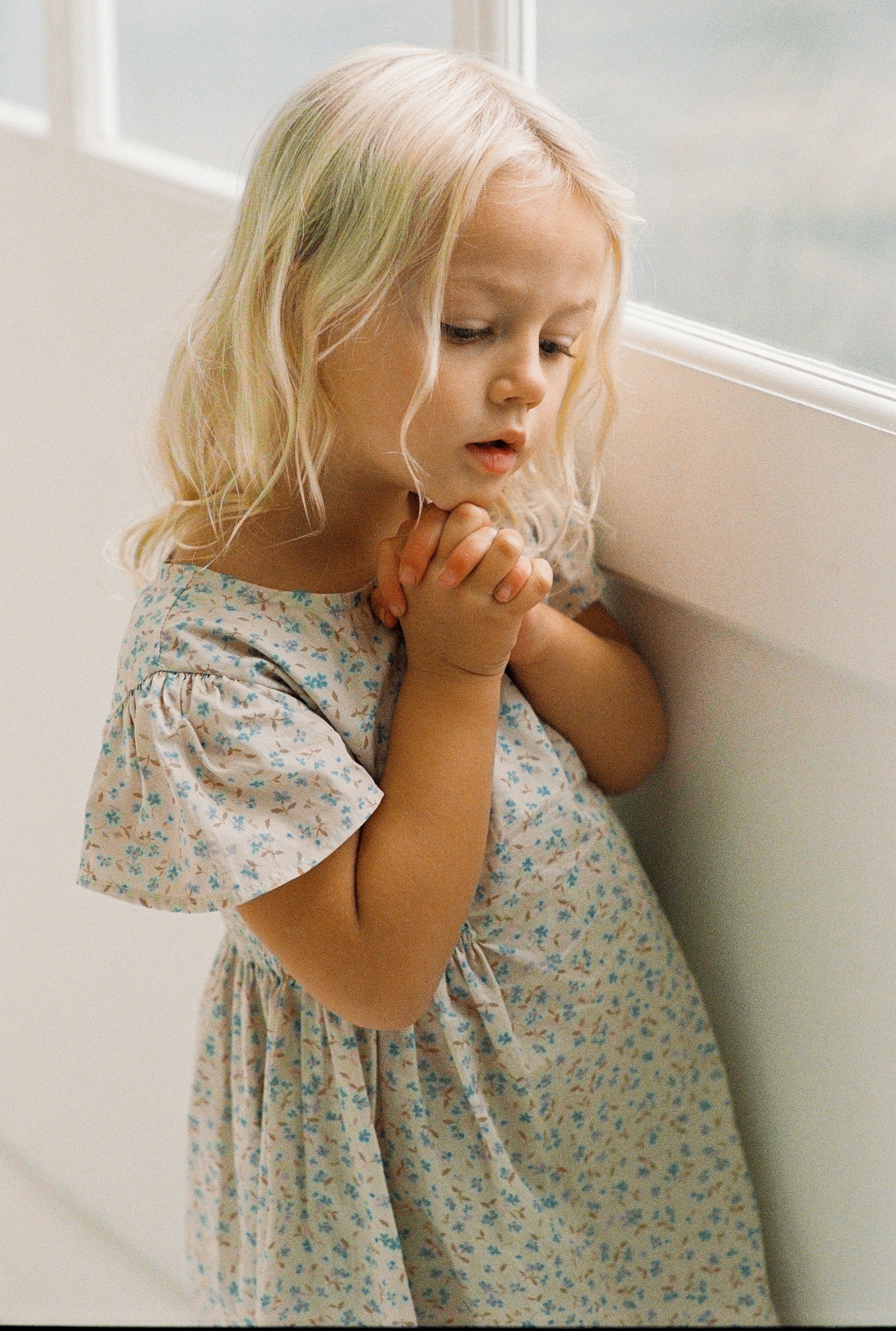 Illoura Blossom Dress (indigo bloom)