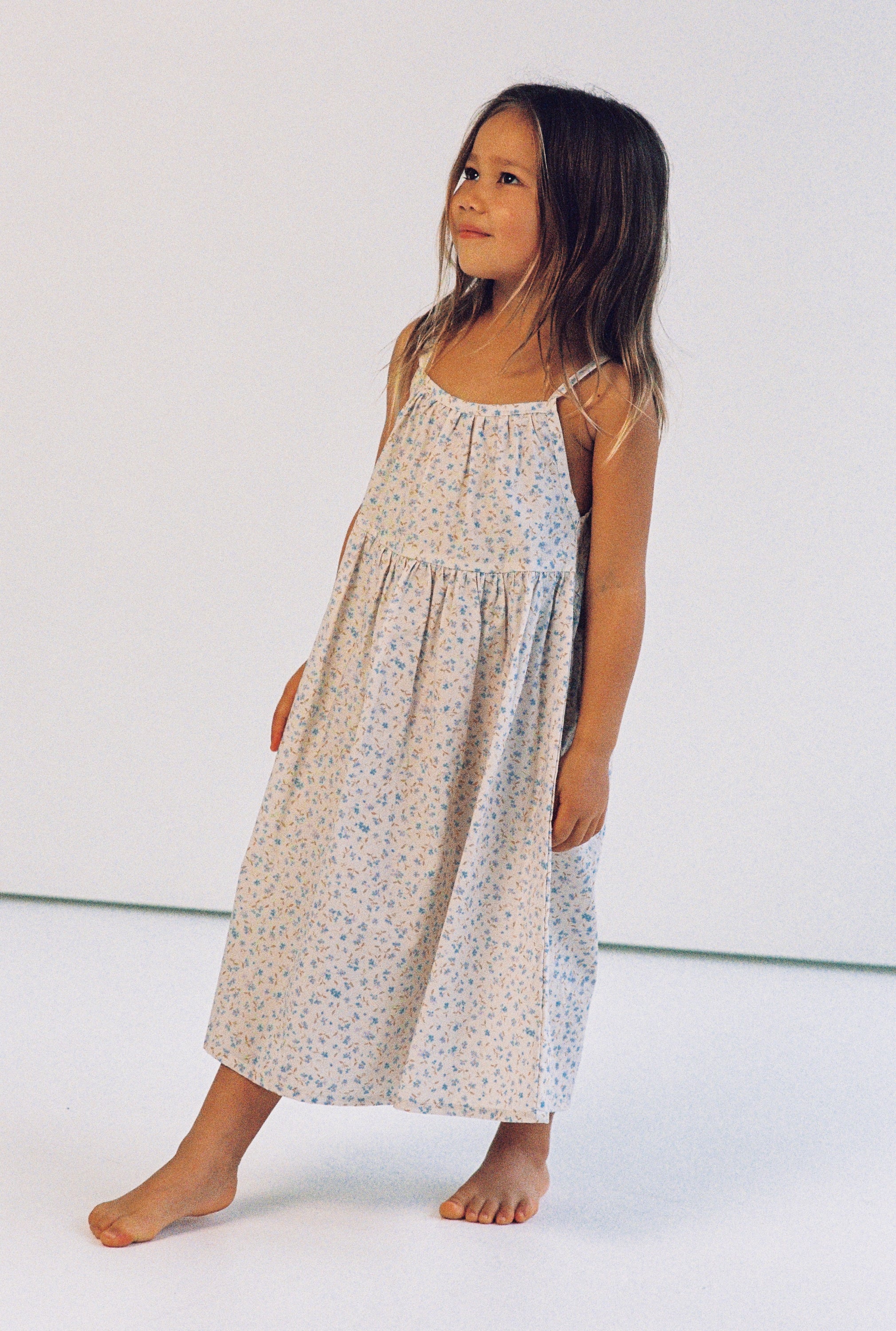 Illoura Darcy Dress (indigo bloom)