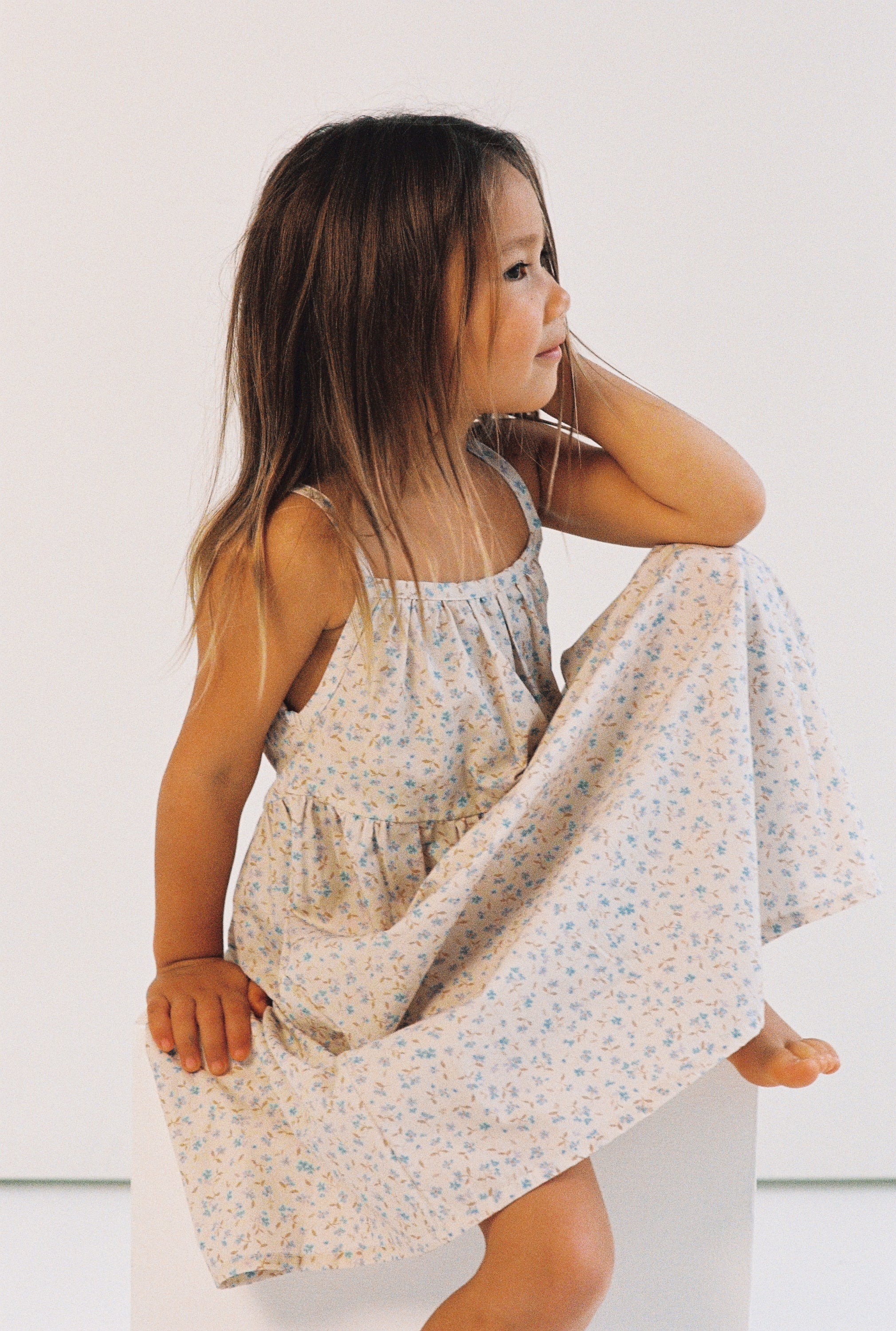 Illoura Darcy Dress (indigo bloom)