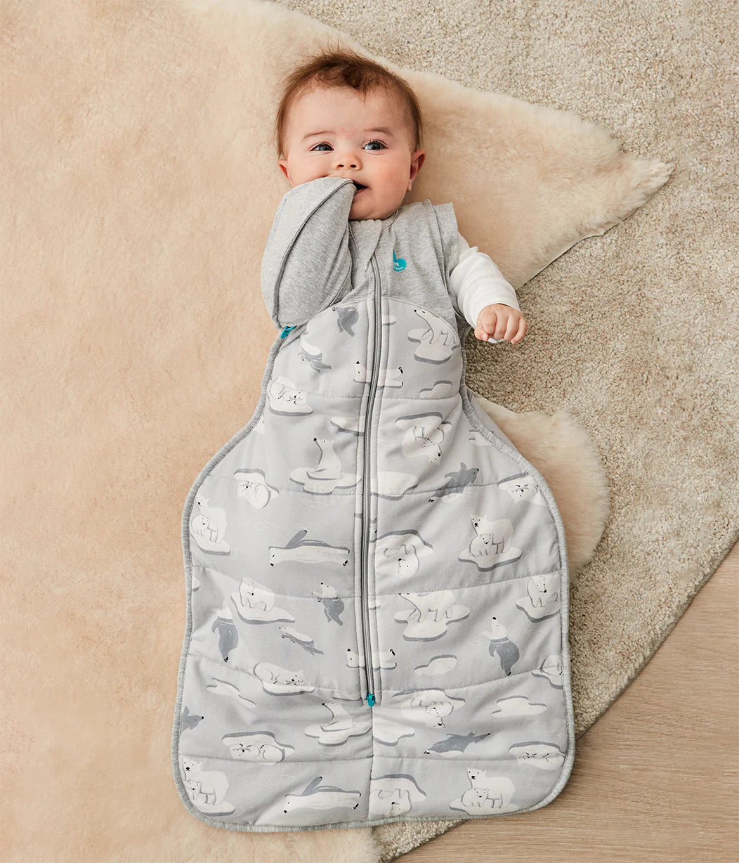 Love to dream Swaddle Up Transition Bag Extra Warm 3.5 Tog (south pole grey)