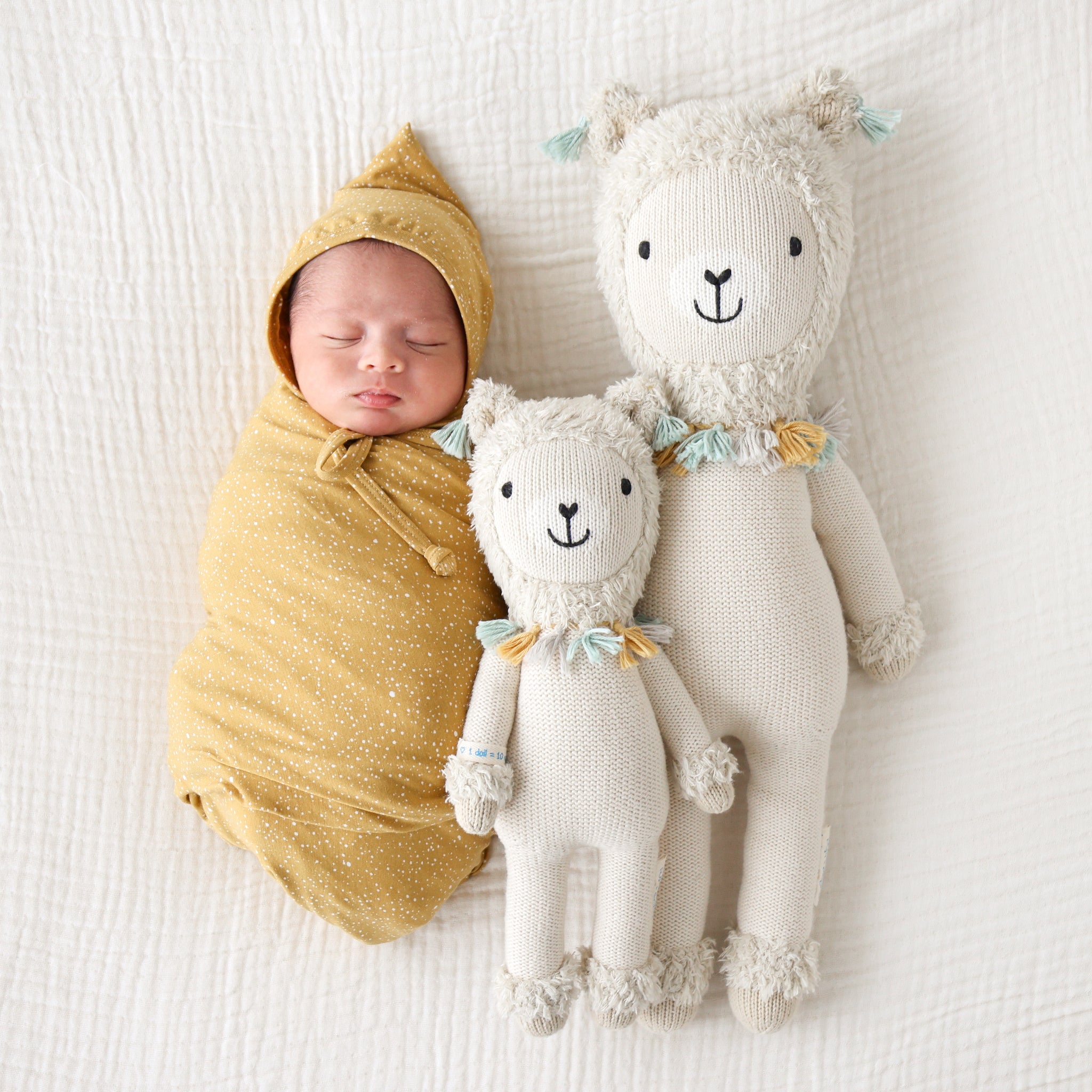 Cuddle and Kind Lucas the Llama