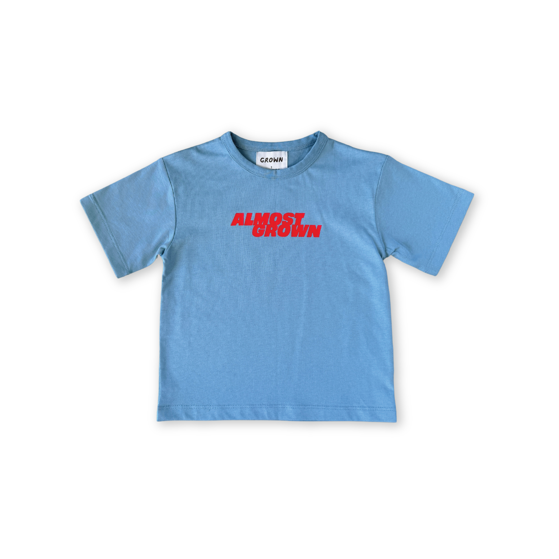 Grown Almost Grown Tee (duck egg)