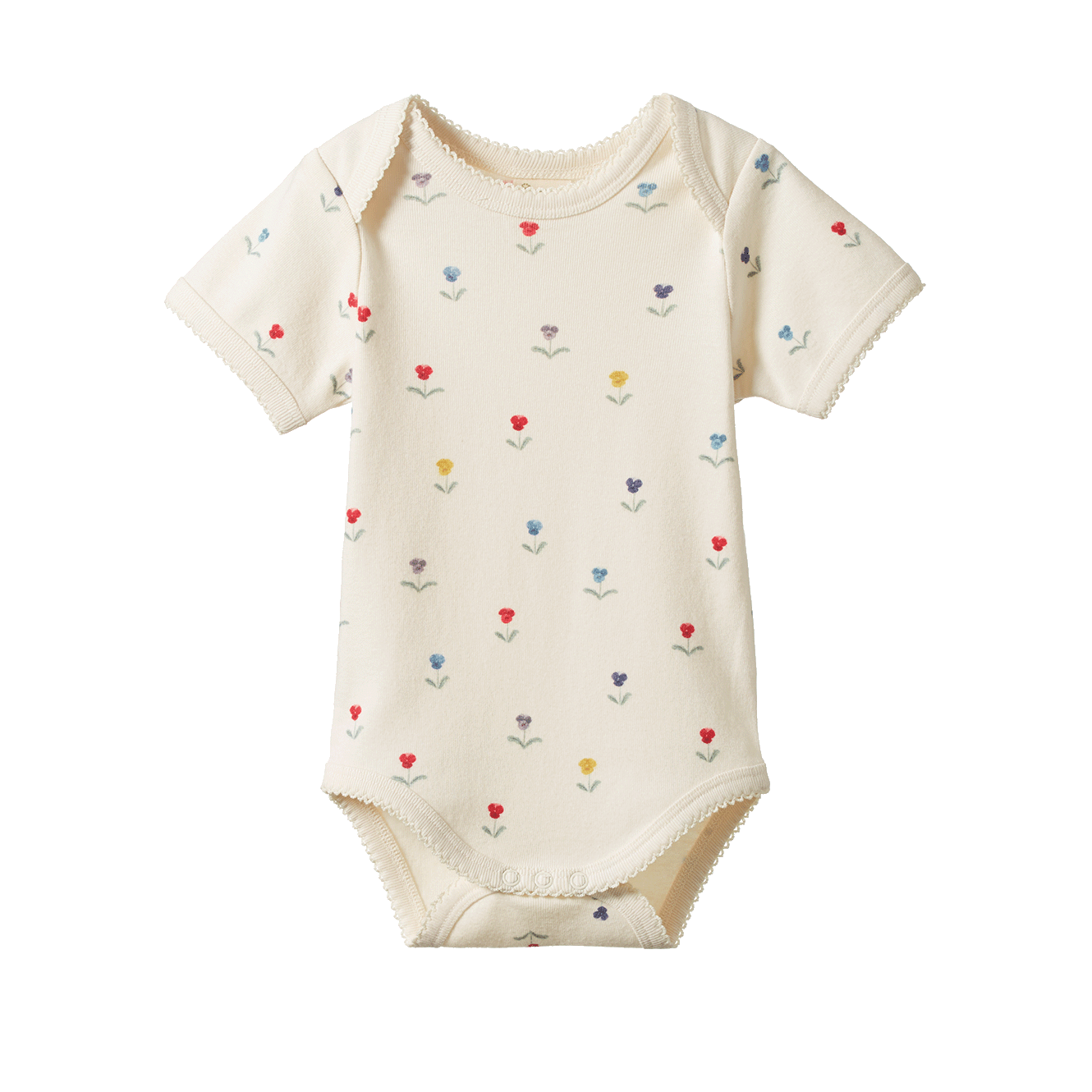 Nature Baby Short Sleeve Bodysuit (delphine)