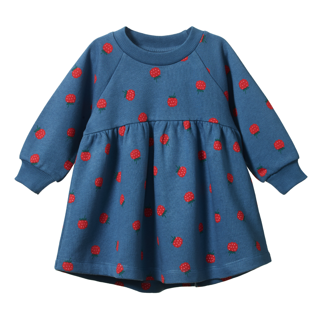 Nature Baby Ines Dress (raspberry blue print)
