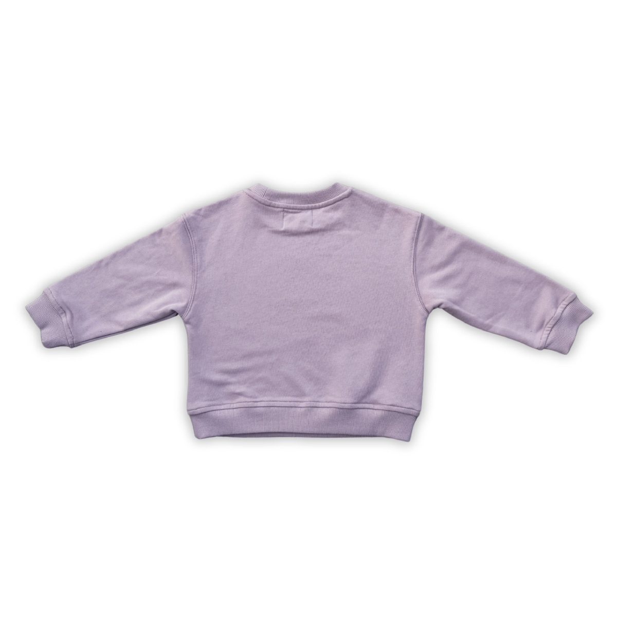 Grown Parrot Fish Jumper - Grape