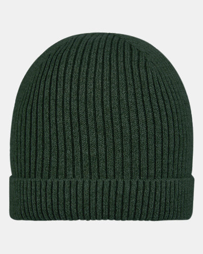 Toshi Organic Tommy Beanie (Pine)
